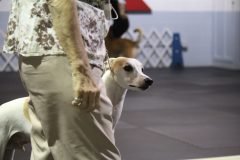 IMG_3266-scaled