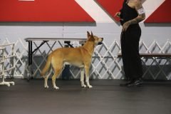 IMG_3268-scaled