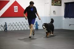 IMG_3648-scaled