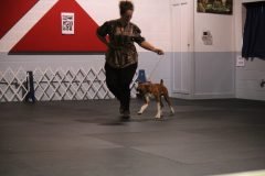 IMG_3655-scaled