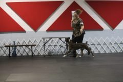 IMG_3659-scaled