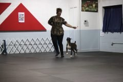 IMG_3664-scaled