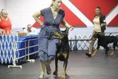 IMG_3679-scaled