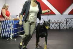 IMG_3680-scaled
