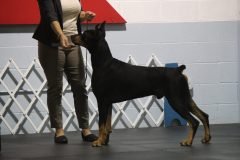 IMG_3686-scaled
