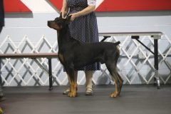 IMG_3691-scaled