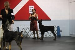 IMG_3692-scaled