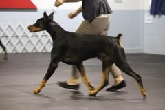 IMG_3710-scaled