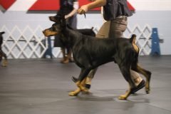 IMG_3711-scaled
