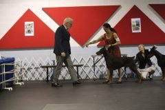 IMG_3716-scaled