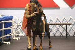 IMG_3733-scaled