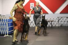 IMG_3741-scaled