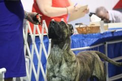 IMG_3803-scaled