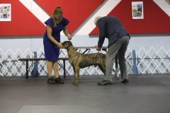 IMG_3811-scaled