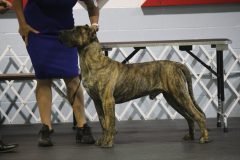 IMG_3813-scaled