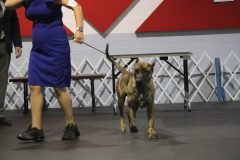 IMG_3814-scaled