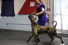 IMG_3817-scaled