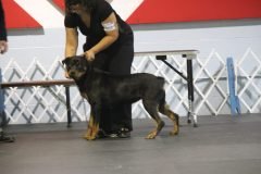 IMG_3831-scaled