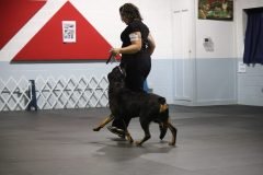 IMG_3833-scaled