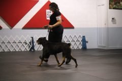 IMG_3834-scaled