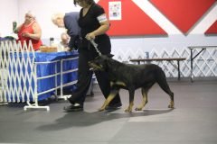 IMG_3836-scaled