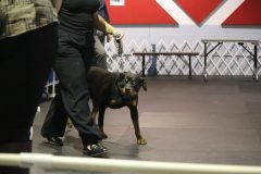 IMG_3839-scaled