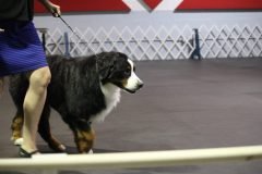 IMG_3840-scaled