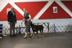IMG_3861-scaled