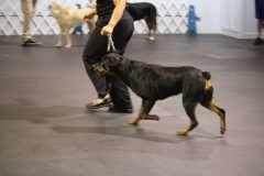 IMG_3875-scaled