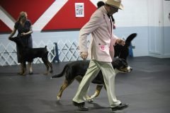 IMG_3911-scaled