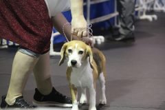 IMG_3938-scaled