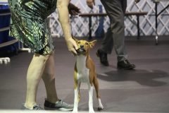 IMG_3952-scaled
