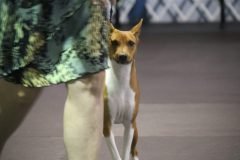 IMG_3953-scaled