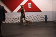 IMG_3954-scaled