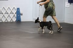 IMG_3981-scaled