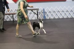 IMG_3993-scaled
