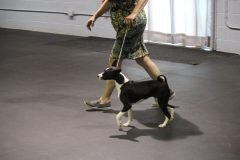 IMG_3998-scaled