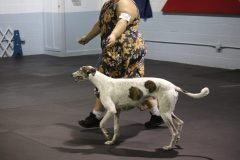 IMG_4070-scaled
