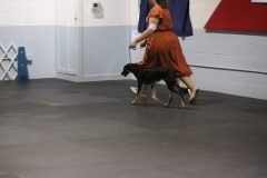 IMG_4080-scaled
