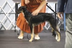 IMG_4082-scaled