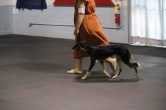 IMG_4093-scaled