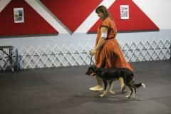 IMG_4095-scaled