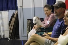 IMG_4106-scaled