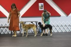IMG_4123-scaled