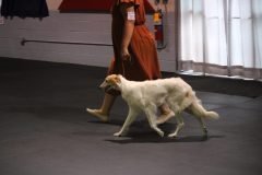 IMG_4154-scaled