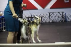 IMG_4178-scaled