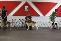 IMG_4188-scaled