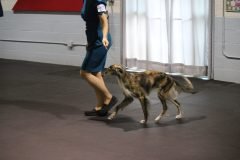 IMG_4194-scaled