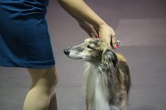 IMG_4207-scaled