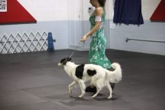 IMG_4231-scaled